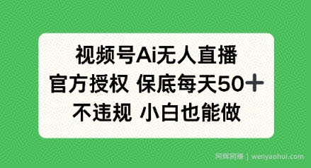 AI毛绒玩偶带货项目，20天卖出800单，全流程详细拆解