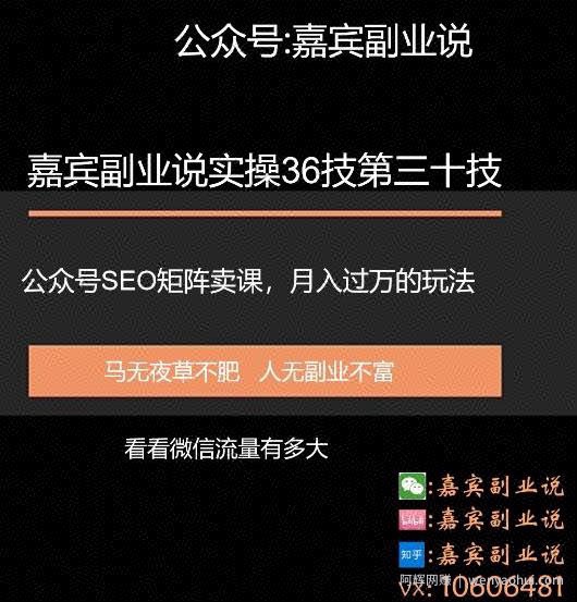 嘉宾副业说实操36技第三十技：公众号SEO矩阵卖课，月入过万的玩法实操