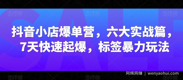 抖音小店爆单营，六大实战篇，7天快速起爆，标签暴力玩法