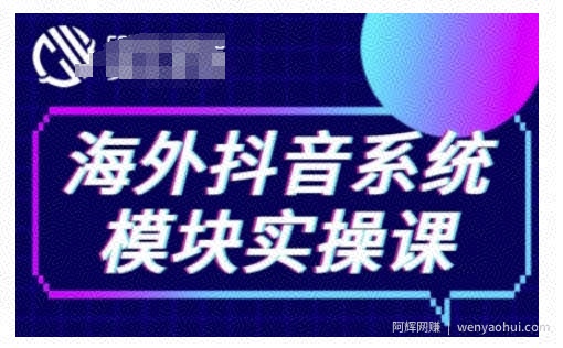 海外抖音Tiktok系统模块实操课，TK短视频带货，TK直播带货，TK小店端实操等