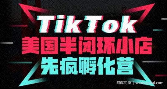 疯人院·TikTok美国半闭环小店孵化营，抢占TikTok美国蓝海市场，开店、运营、带货、投流全实操