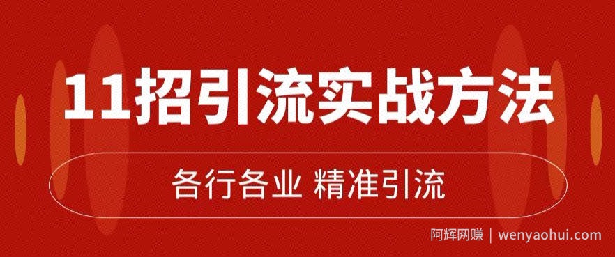 精准引流术：11招引流实战方法，让你私域流量加到爆（11节课完整)