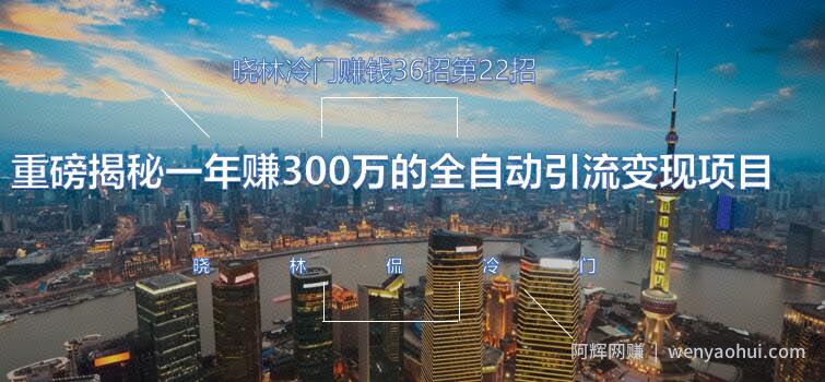 晓林冷门賺米36招第22招重磅揭秘一年赚300万的全自动引流变现项目【视频课程】