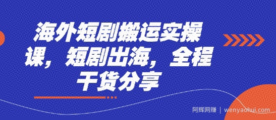 海外短剧搬运实操课，短剧出海，全程干货分享