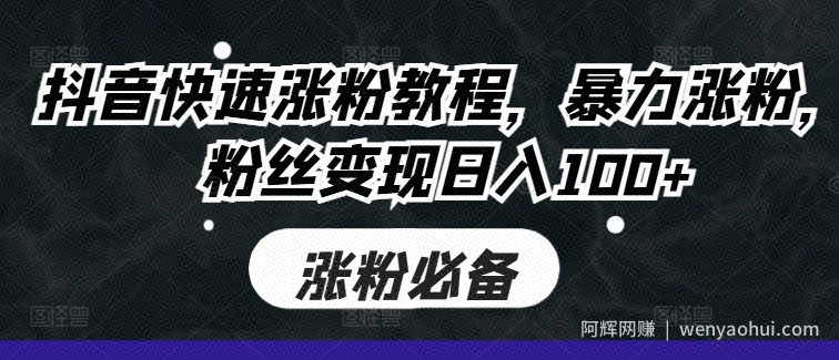 抖音快速涨粉教程，暴力涨粉，粉丝变现日入100+