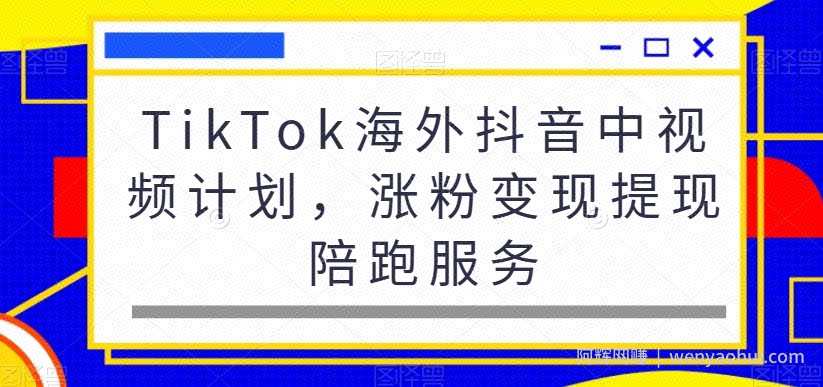 TikTok海外抖音中视频计划,涨粉变现提现陪跑服务