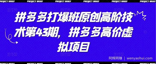 拼多多打爆班原创高阶技术第43期，拼多多高价虚拟项目