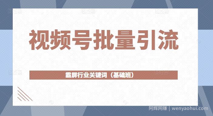 视频号批量引流，霸屏行业关键词（基础班）全面系统讲解视频号玩法【无水印】