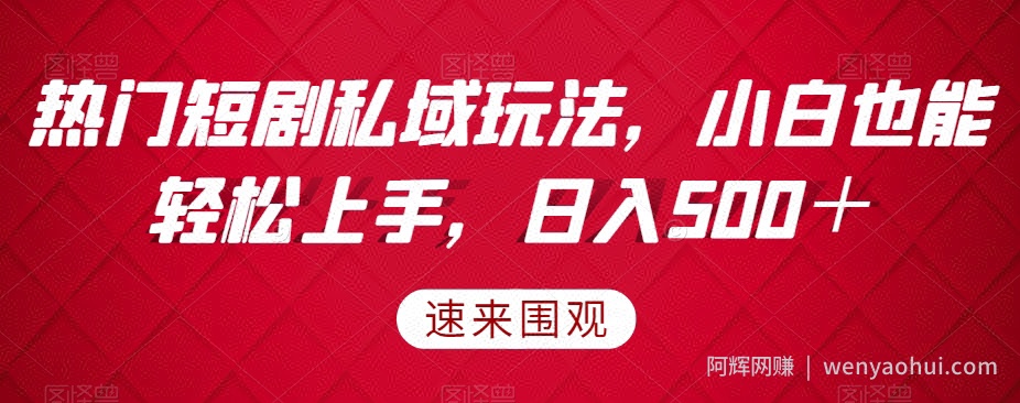 热门短剧私域玩法，小白也能轻松上手，日入500＋