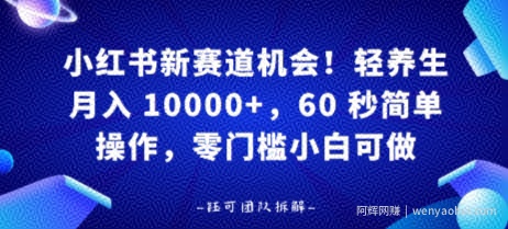 小红书新赛道机会，轻养生月入 1w，60 秒简单操作，带货接广都可以，零门槛小白可做