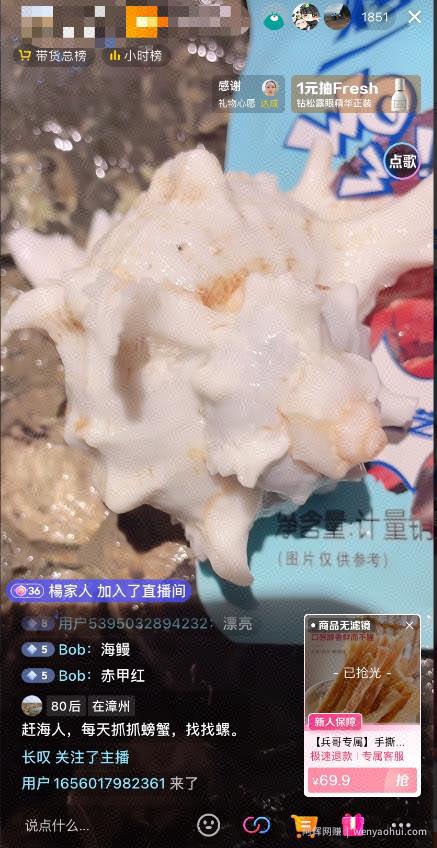 最新抖音快手赶海无人直播流量庞大，效果出奇的好（教程+素材）