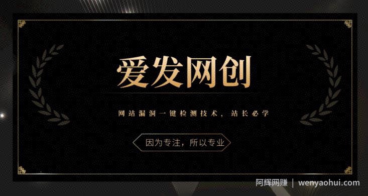 《爱发必学第6课》网站漏洞一键检测技术，站长必学