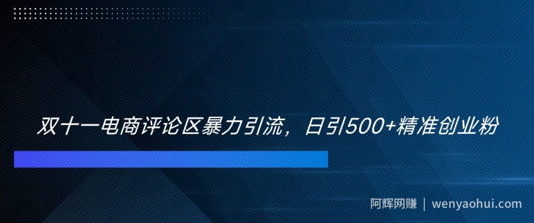 双十一电商评论区暴力引流，日引500+精准创业粉【揭秘】