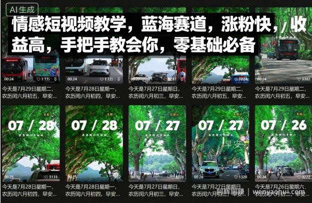 情感短视频教学，蓝海赛道，涨粉快，收益高，手把手教会你，零基础必备