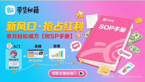 B站哔哩哔哩带货秘籍，新风口，抢占红利，单月轻松破万【附SOP手册】