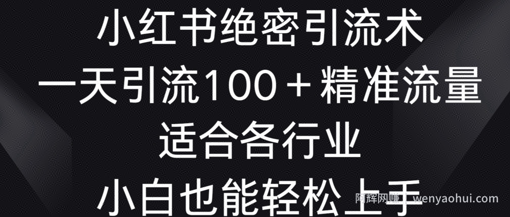 小红书绝密引流术，一天引流100+精准流量，适合各个行业，小白也能轻松上手【揭秘】