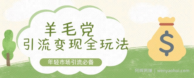 羊毛党引流变现全玩法，年轻市场引流必备