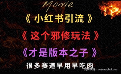 最近小红书引流这个邪修玩法才是版本之子，很多赛道早用早吃肉