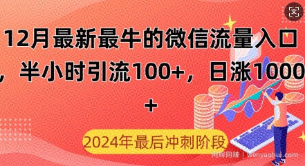 12月最新最牛的微信流量入口，半小时引流100+创业粉，日涨粉1000+