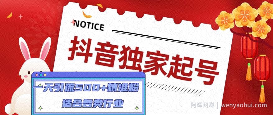 抖音独家起号，一天引流500+精准粉，适合各类行业（9节视频课）