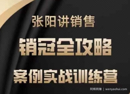 张阳讲销售实战训练营，​案例实战训练，销冠全攻略