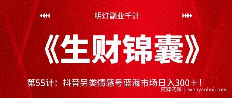 明灯副业千计—《生财锦囊》第55计：抖音另类情感号蓝海市场日入300＋【视频课程】