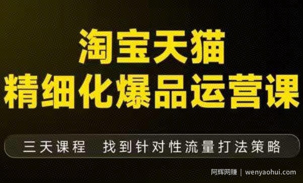 淘宝天猫精细化爆品运营（9月12-14杭州线下课），全方位拆解爆品打造逻辑【音频+字幕+文档】