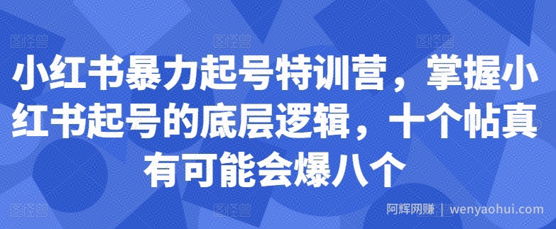 小红书暴力起号特训营，掌握小红书起号的底层逻辑，十个帖真有可能会爆八个