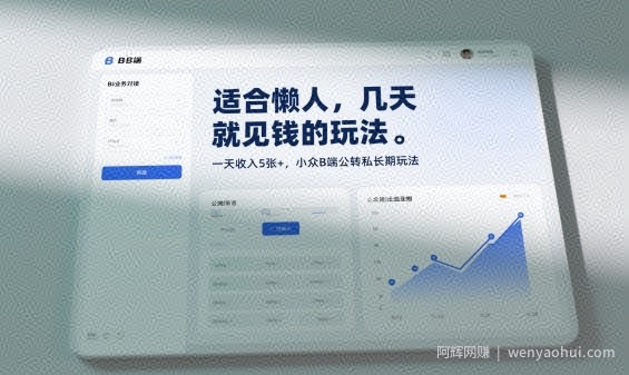 适合懒人，几天就见钱的玩法，一天收入5张+，小众B端公转私长期玩法