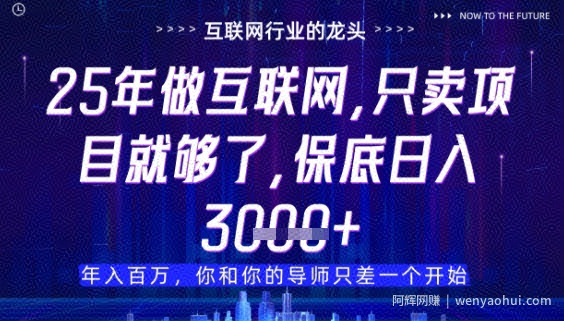 什么！25年你还在找项目做？风口早就变了，卖项目才是稳挣不赔【揭秘】