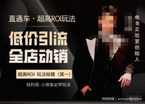 电商冰可乐·直通车·《低价引流·全店动销》，直通车·超高ROI玩法（其一）全店动销必学玩法