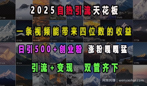 2025自热引流天花板，一条视频能带来四位数的收益，引流+变现双管齐下，日引500+创业粉，涨粉嘎嘎猛