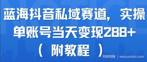 蓝海抖音私域赛道，实操单账号当天变现288+(附教程)