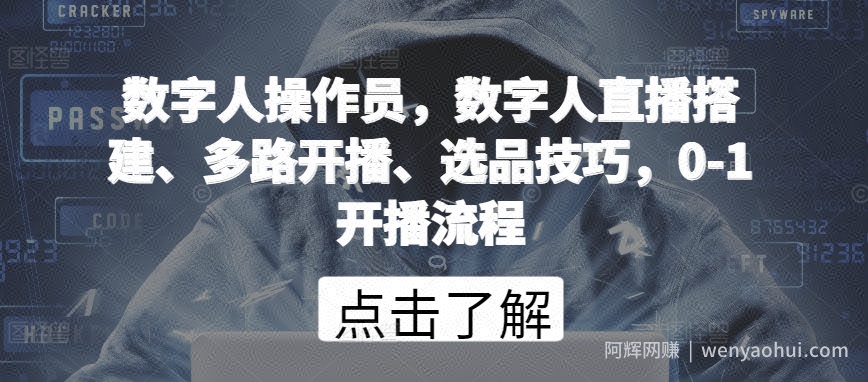 数字人操作员，数字人直播搭建、多路开播、选品技巧，0-1开播流程