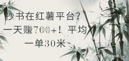 抄书在小红薯平台？平均一单30米，一天收益几张！