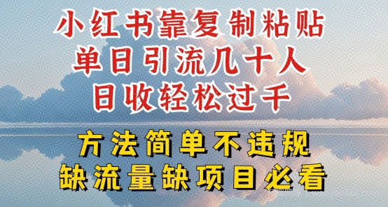 小红书靠复制粘贴单日引流几十人目收轻松过千，方法简单不违规【揭秘】