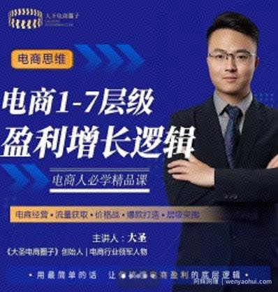 大圣：电商1-7层级盈利增长底层逻辑课（线上视频课），用简单的话，让你掌握电商盈利的底层逻辑