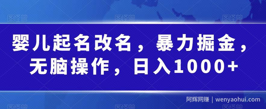 婴儿起名改名，暴力掘金，无脑操作，日入1000+【揭秘】