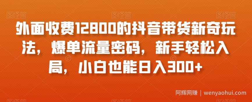 外面收费12800的抖音带货新奇玩法，爆单流量密码，新手轻松入局，小白也能日入300+【揭秘】