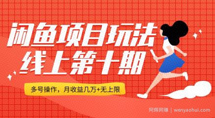 闲鱼项目玩法实战班线上第十期，多号批量操作，一个月收益几万+无上限(完整无水印版)