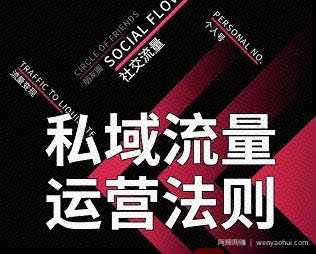 私域流量运营法则，高端玩家的私域流量是如何搭建的【视频课程】