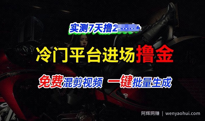 全新冷门平台视频，快速免费进场搞米，通过混剪视频一键批量生成，实测7天撸上千