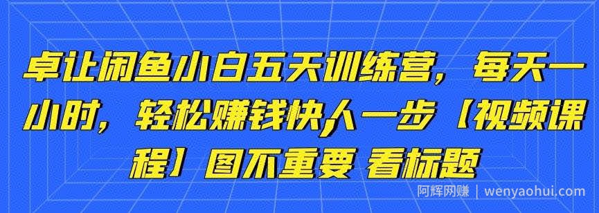 卓让闲鱼小白五天训练营，每天一小时，轻松賺米快人一步【视频课程】