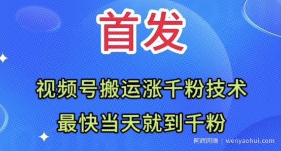 全网首发：视频号无脑搬运涨千粉技术，最快当天到千粉【揭秘】