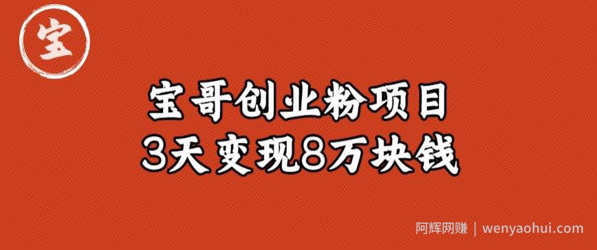 宝哥IP图文创业粉引流项目实战分享：单个账号3天涨粉1万，变现8万块钱（图文教程）【揭秘】