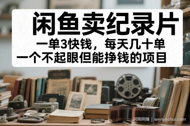 闲鱼卖纪录片，一单3快钱，每天几十单，一个不起眼但能挣钱的项目【揭秘】