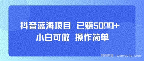 抖音蓝海项目，小白可做，操作简单，可批量制作，已挣5k+