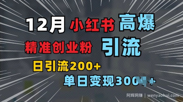 小红书一张图片“引爆”创业粉，单日+200+精准创业粉 可筛选付费意识创业粉【揭秘】