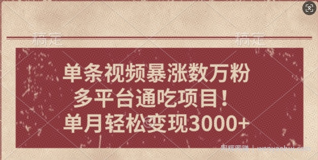 一条作品涨万粉，轻松上手，单月简单变现3000+