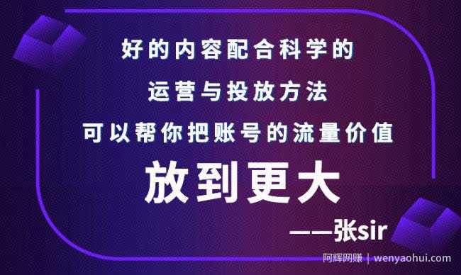 张sir账号流量增长课，告别海王流量，让你的流量更精准